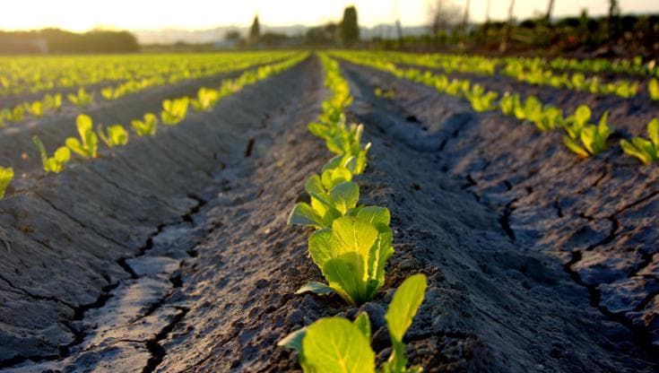 “Natura e agricoltura (non intensiva), una riconciliazione è possibile”