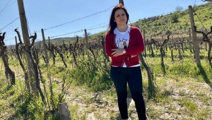 La Calabria profonda di Mariangela Parrilla, la Pasionaria del Cirò