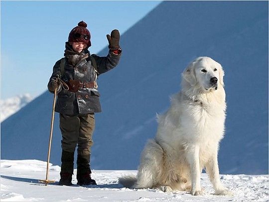Il cinema sotto zero, da "Frozen" a "Neve" un Natale ghiacciato