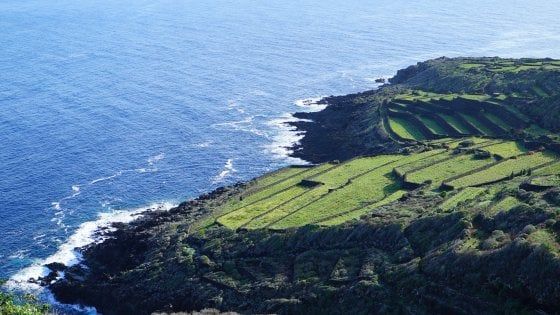 Tra vigne, muretti a secco e vento, Pantelleria riscrive il suo futuro