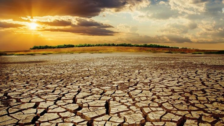 Clima, per salvare l'ambiente partiamo dal cibo