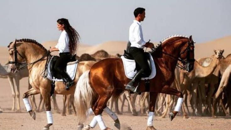 Dal teatro equestre allo spettacolo dei coniugi Gonzalez, va in scena il Gran Galà di Cascia