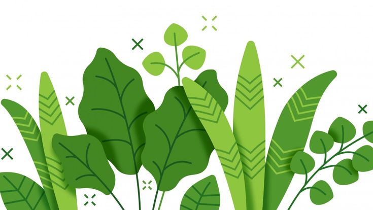 Il partigiano dell’ambiente
