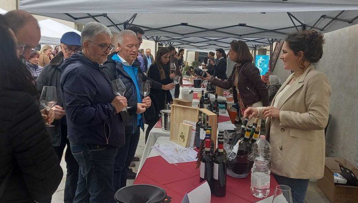 Torna Vinoso, il Gran Monferrato mette in mostra i suoi vini