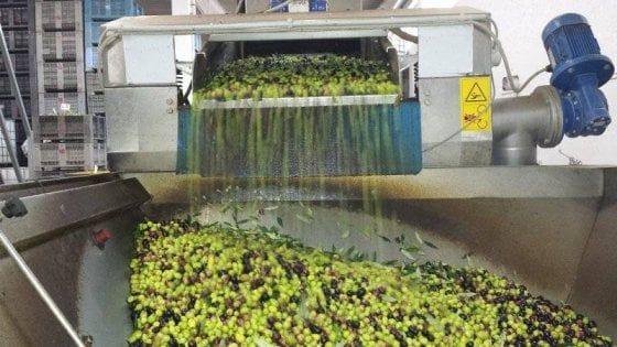 Idrogeno e metano dalla molitura delle olive