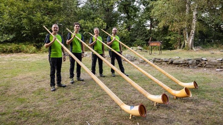 Un pomeriggio di musica e natura sul lago, tra verde e corni delle Alpi