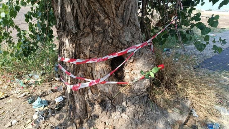 Operaio abbandonato in strada: “Mio marito spostato sotto l’albero dopo essere caduto dal capannone”