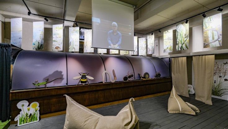 Nasce "Radici", un piccolo museo della natura nell'ex cartoleria