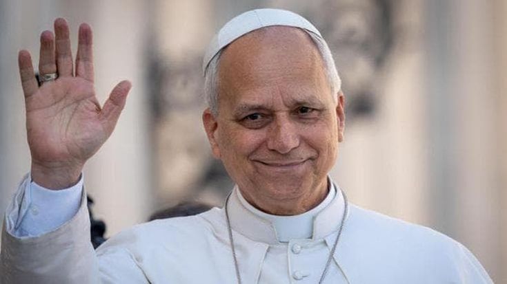 Domenico, bimbo morto al Monaldi: Papa Leone incontrerà la madre Patrizia