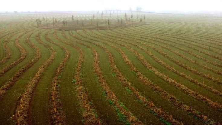 Ecosistema urbano, Parma perde sette posizioni fra i capoluoghi 