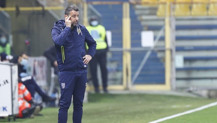 Parma, D'Aversa: "Non ci abbiamo messo cattiveria"