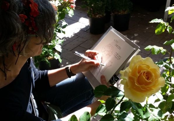 Ischia, piante e fiori nei disegni d'autore