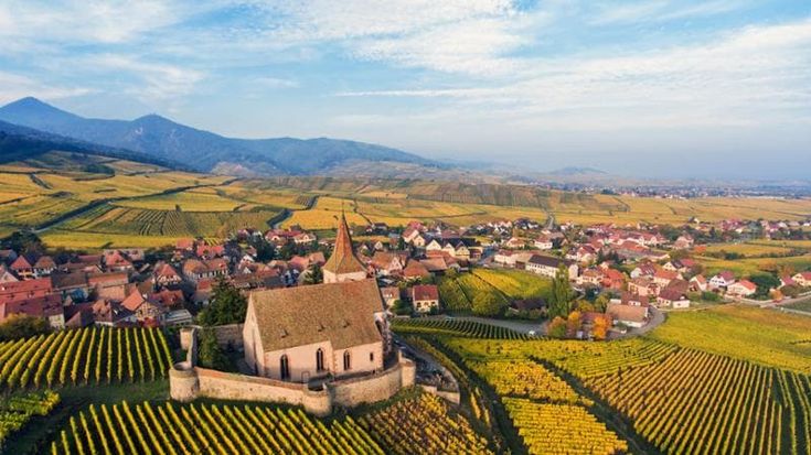Vini d’Alsazia, non solo Riesling: rossi emergenti, enoturismo e abbinamenti che stupiscono