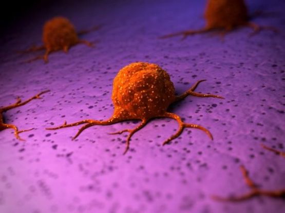 Cancro, battere il tumore sfruttando la forza dei virus-chimera