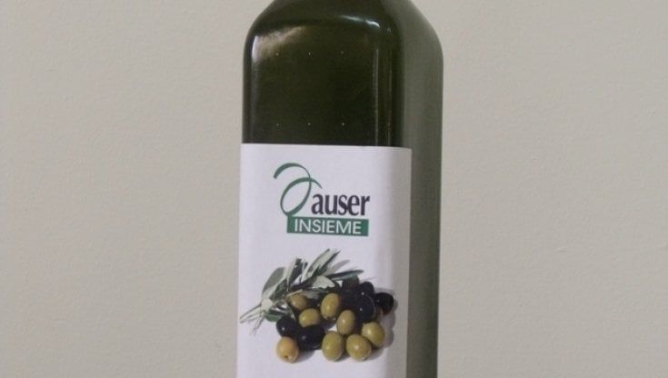 Progetti solidali, a Montelupo Fiorentino un olio d’oliva “pubblico” proveniente da alberi di parchi, giradini e viali