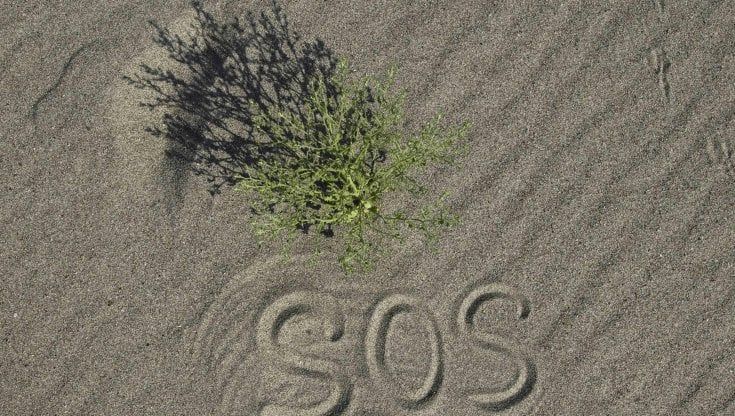 Siccità, il Po in crisi estrema sfonda ogni record negativo
