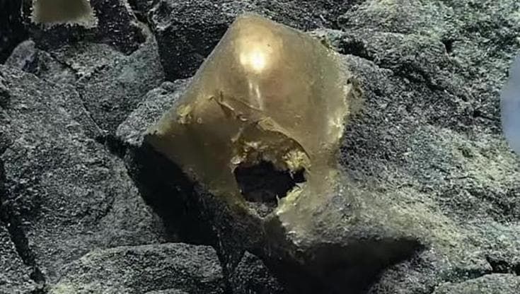 Dopo anni svelato il mistero della "sfera dorata" trovata negli abissi