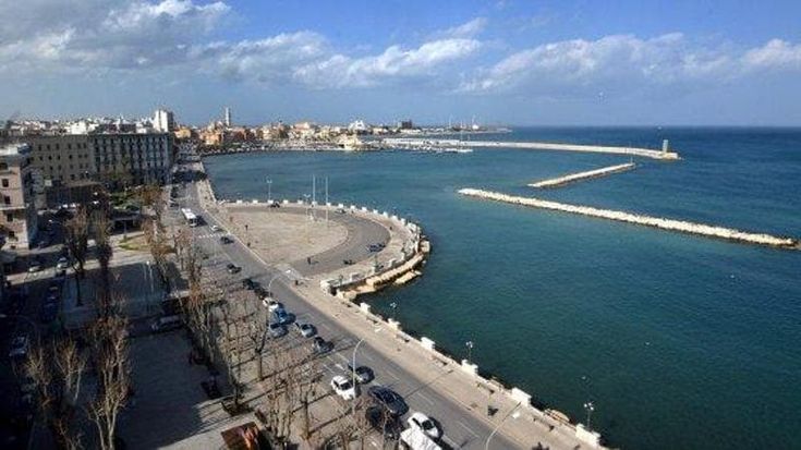 Barboncino trovato morto in mare a Bari, indagata la proprietaria: rischia fino a 18 mesi di carcere