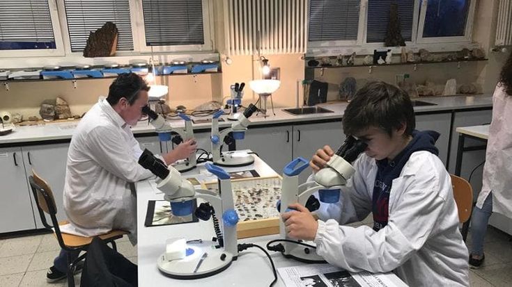 Al liceo Garibaldi di Palermo la prima scuola con indirizzo biomedico in collaborazione con Ri.Med