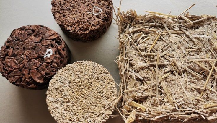 Dal campo alla casa gli scarti agricoli diventano pannelli isolanti