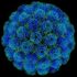 Nell'Oceano a pescare virus con i batteri-esca