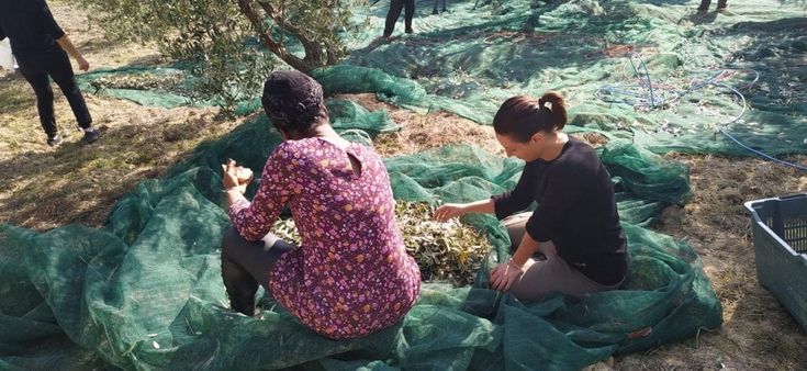 Dal Molise un olio che combatte la violenza sulle donne