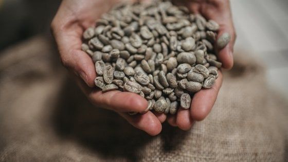 Nella casa dove il caffè torna a parlare italiano  