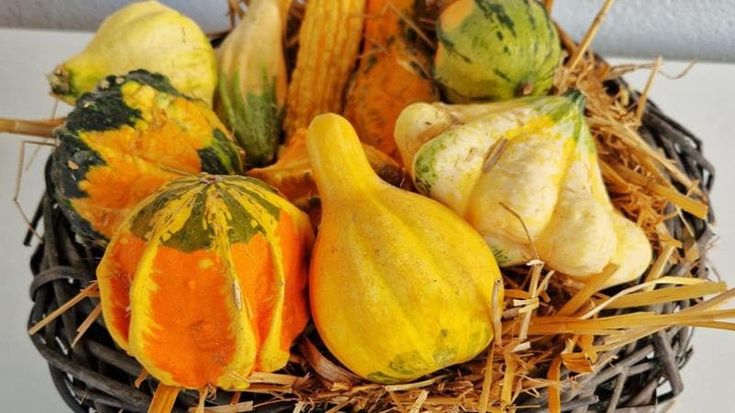 Zucche colorate (e velenose) per Halloween