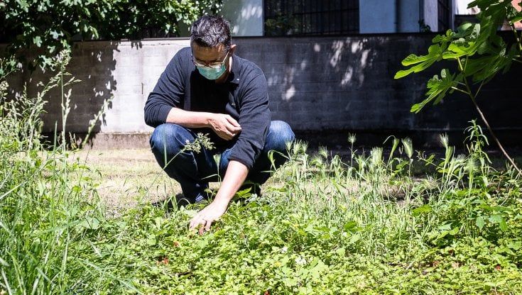 Quando il caos fa crescere la biodiversità 