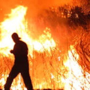 Dà fuoco a 25mila metri quadri di bosco, arrestato piromane