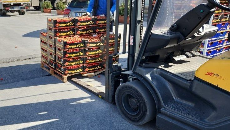 Operaio ferito al mercato ortofrutticolo di Vittoria, travolto da un carico di merce