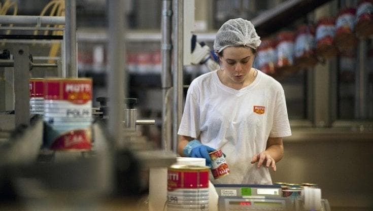 Dalla fatica nei campi all'invenzione del tubetto: l'epopea del pomodoro di Mutti