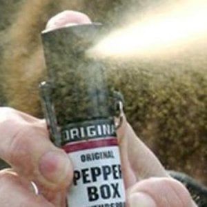 La banda dello spray di piazza San Carlo patteggia per le altre rapine 
