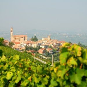 Castiglione Tinella, lavorante bulgaro muore precipitando in una scarpata mentre pota le piante