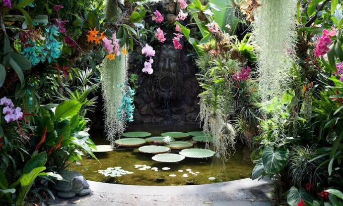 Ischia, ecco la meraviglia dei giardini de La Mortella
