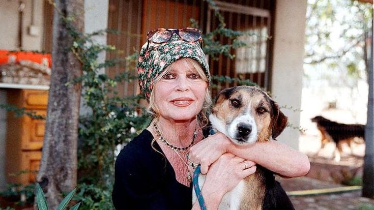 La solitudine di Brigitte Bardot: “Non ho più nessuno, anche il mio cane mi ha lasciata”