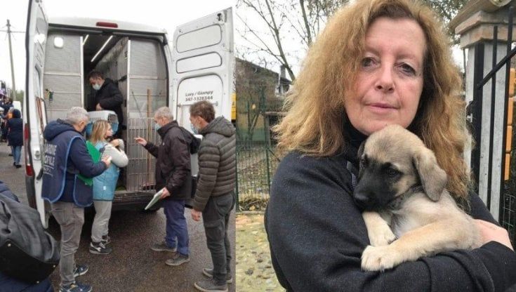 Condannato a due anni e tre mesi il camionista che causò l'incidente sull'A14 in cui morirono i volontari animalisti Betty Barbieri e Federico Tonin 