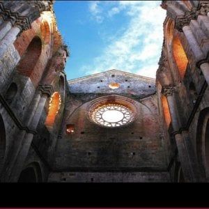 Rivivono i vigneti dell'Abbazia di San Galgano