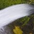 High tech e biotecnologie per recuperare l'acqua e i fanghi per i campi