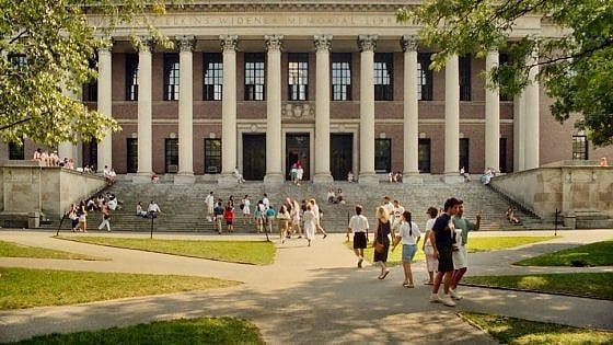 All'università ad Harvard senza muoversi da casa: 200 atenei lanciano corsi online gratuiti