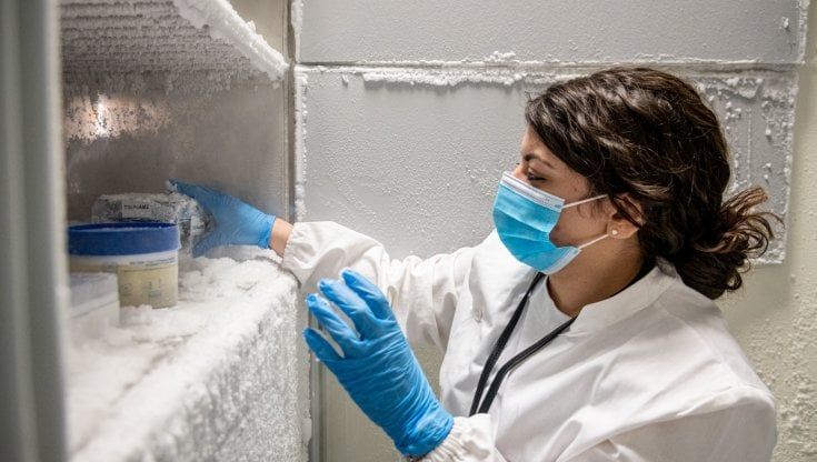 Coronavirus Lazio, i dubbi delle Asl sul vaccino: "Non abbiamo i frigoriferi"