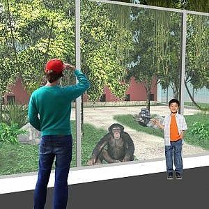 Zoo, crowdfunding per l'area scimpanzè: servono 500mila euro