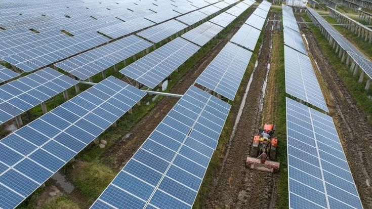 Agrivoltaico: 11,5 GW di progetti sviluppati nei primi 9 mesi del 2025