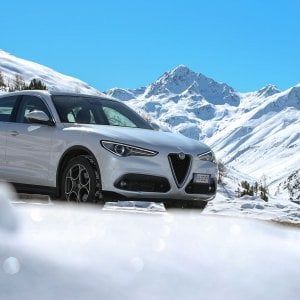 Stelvio, debutto in società 
