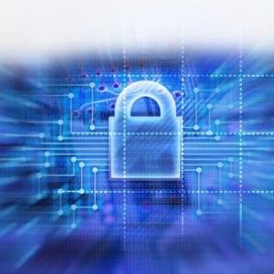 Il Garante della privacy blocca l'uso dei dati di 400mila persone: "Maggiore trasparenza nel mercato del lavoro via internet"