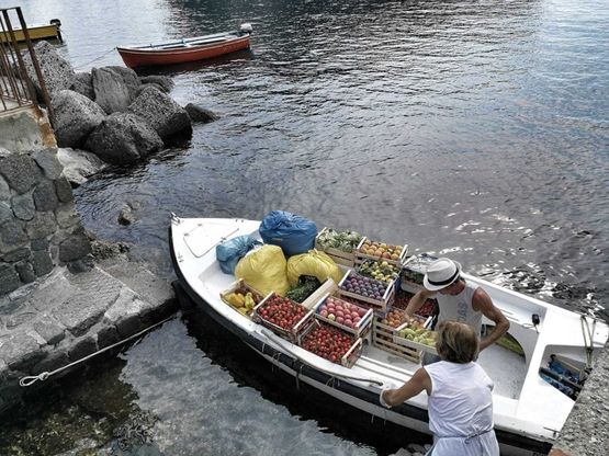 Ischia, la frutta a ristoranti e alberghi arriva via mare