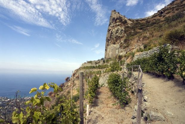 Pietra Martone, a Ischia nasce il vino ispirato al grande masso di tufo verde
