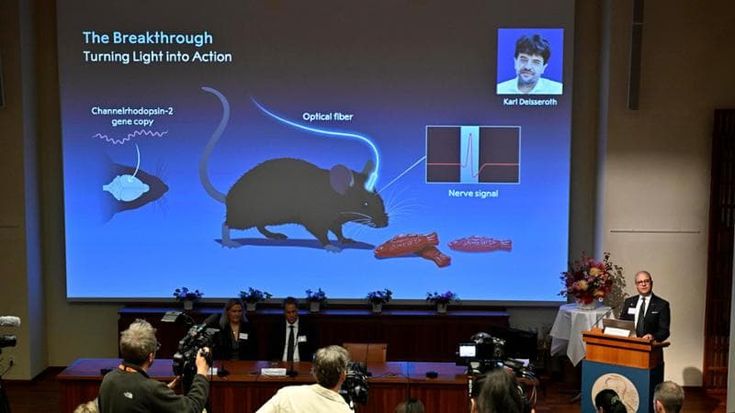 L’esperto di optogenetica: “Con questa tecnica studiamo l’autismo e la schizofrenia”