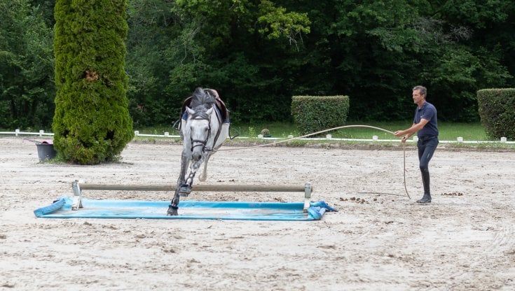 Sport e benessere del cavallo, la scommessa di Luca Moneta