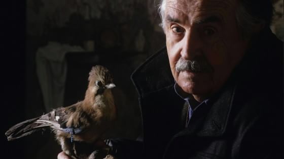 Mostre, spettacoli e il sogno di un museo: la Romagna celebra Tonino Guerra